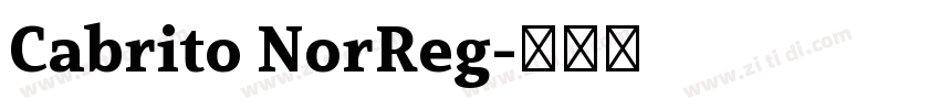 Cabrito NorReg字体转换